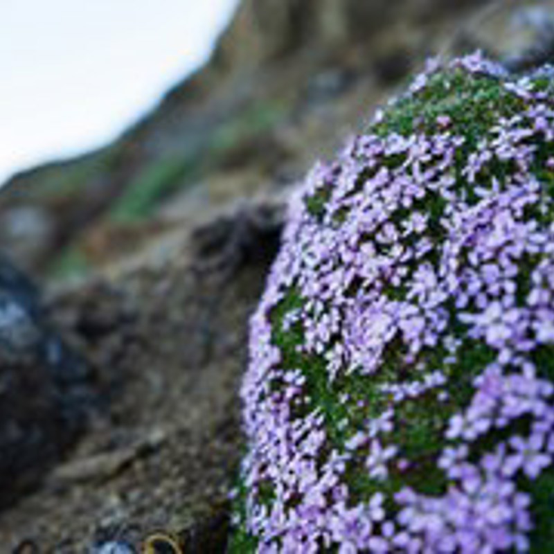 Piitannguaq Egede By4 Nze1qic Unsplash