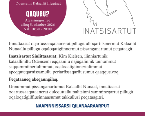 Demokratidag Grønland Side 1