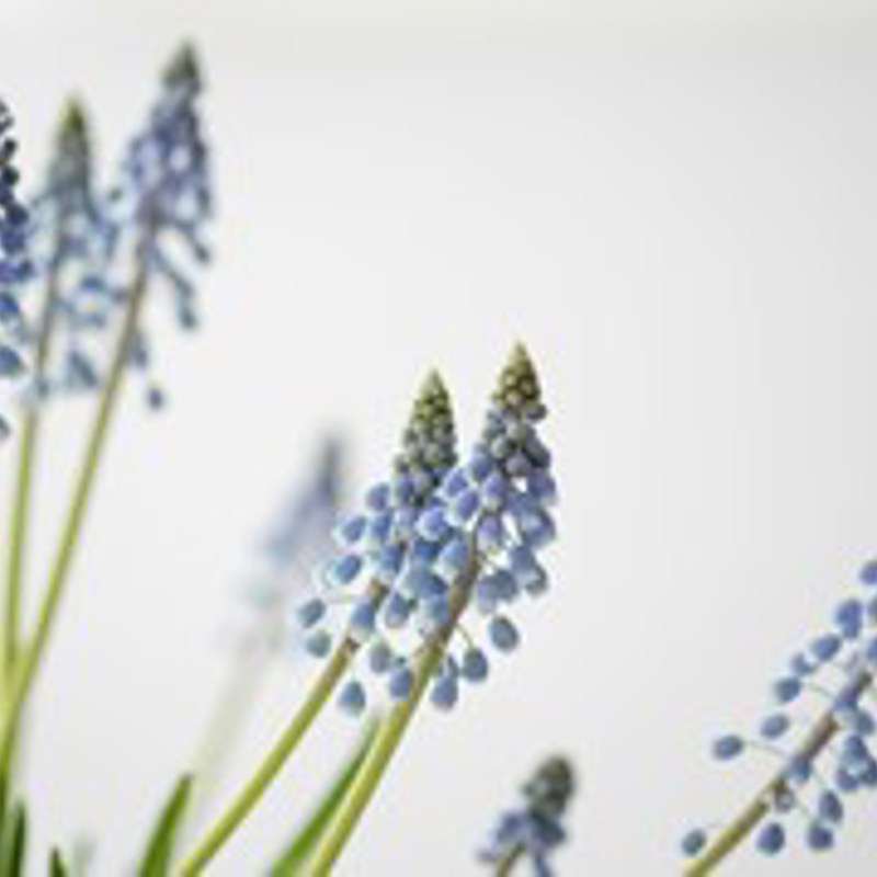 Maarten Deckers Kmiare0ufcu Unsplash