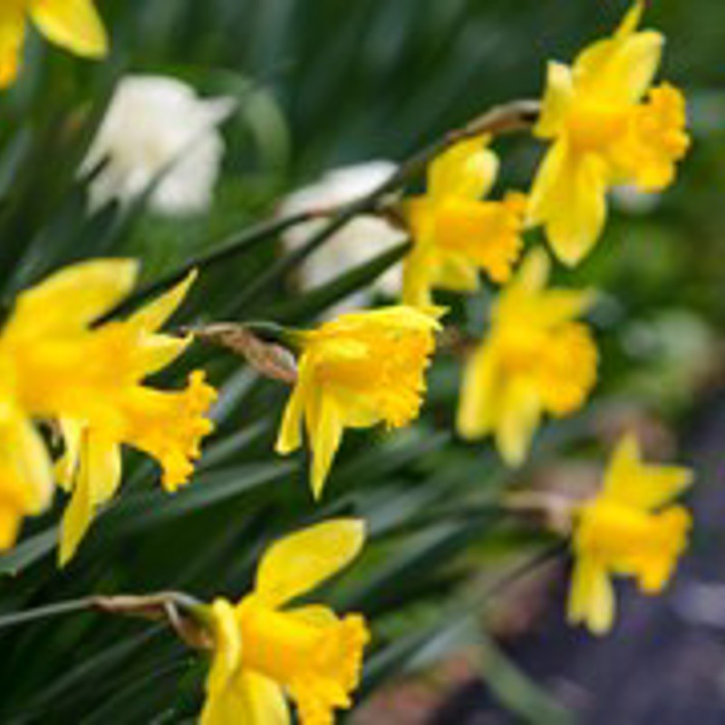 Bonnie Kittle Gtaphzyfvia Unsplash