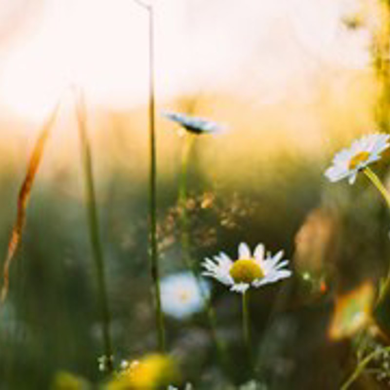 Daiga Ellaby Ynnczu62rdk Unsplash